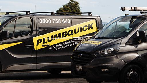 Professional Hataitai Plumbers